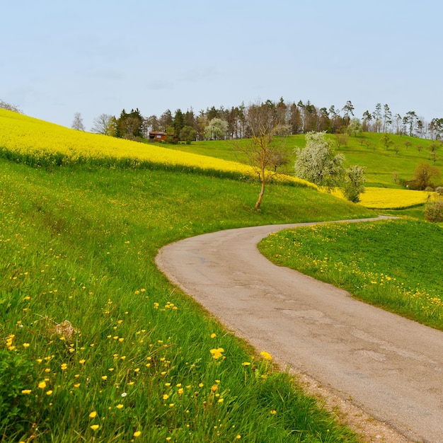 Photo road amidst field against clear sky