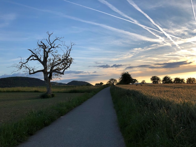 Photo road amidst field against sky