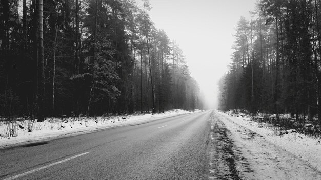 Photo road amidst trees against sky during winter