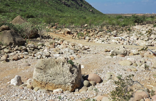 The road to Ayhaft Canyon Socotra island Indian ocean Yemen