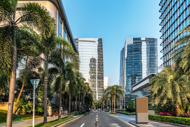 The road in the city of shenzhen,china