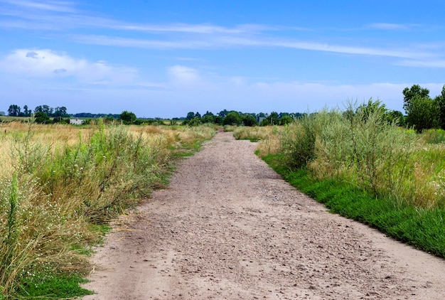 Road in the countryside with blue sky on the horizon