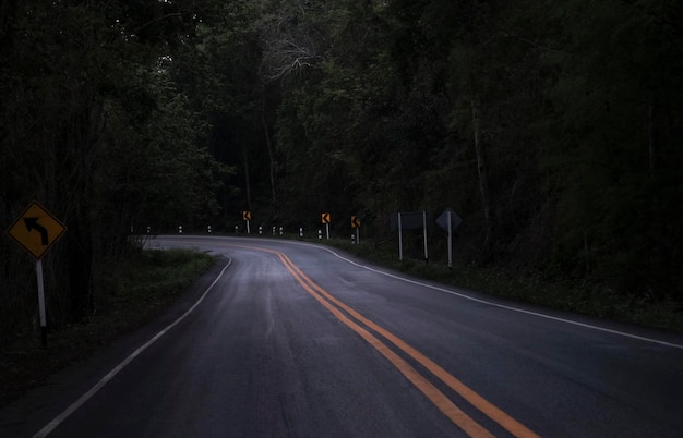 Road on the dark view on the mountain road among green forest trees curve asphalt road lonely scary at night