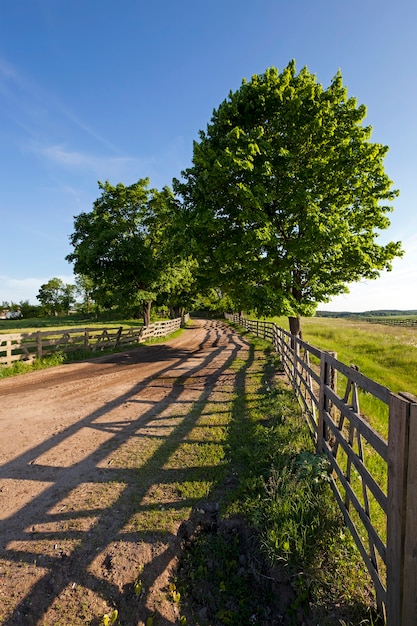 The road on a farm - not asphalted road conducting on a farm. rural areas. 