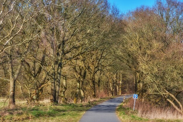 Road in the forest on a sunny day in Autumn with road sign indicating bike lane Curved roadway surrounded by trees in countryside Landscape with empty asphalt road through the woods in Fall season