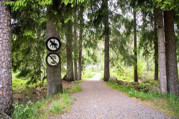 Road in forest with a no riding sign and a no vehicles sign