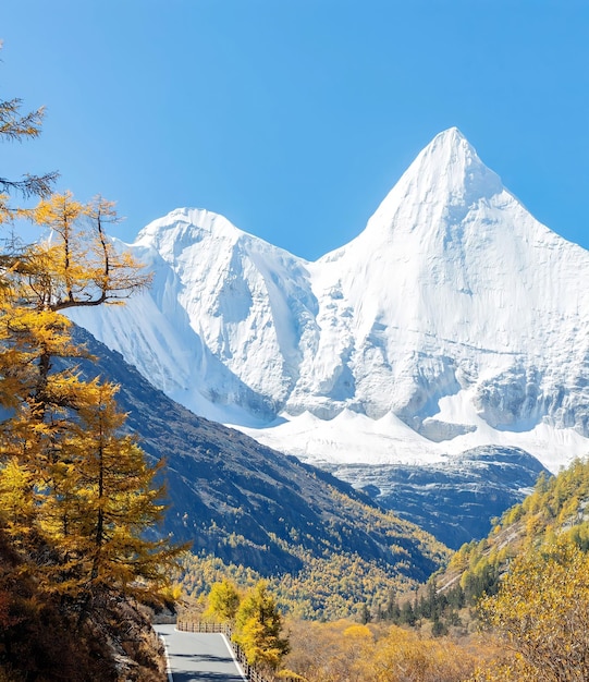 A road in front of a snowy mountain with a blue sky and a white snow covered mountain in the background.