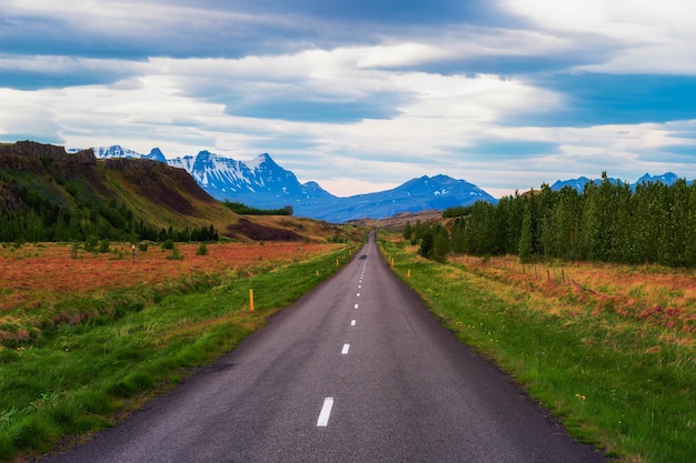 Road going through the scenic summer landscape of Iceland