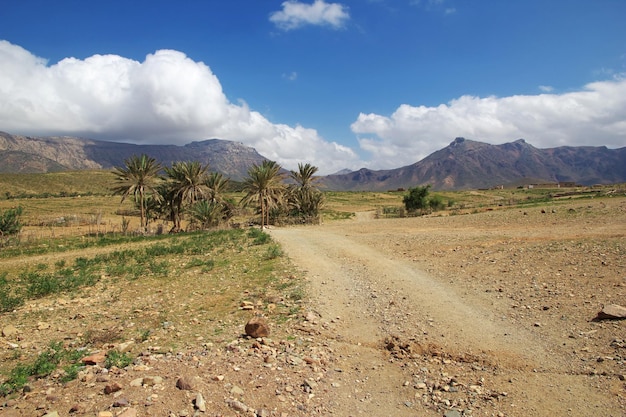 The road on Homhil plateau Socotra island Indian ocean Yemen