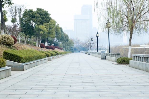 Road inside the park