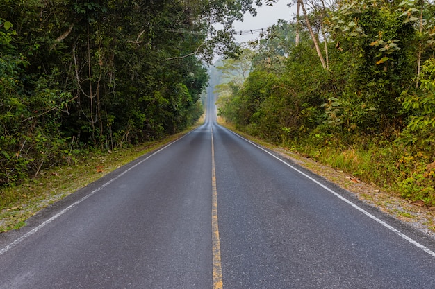 The road in Khoa Yai National Park, Thailand