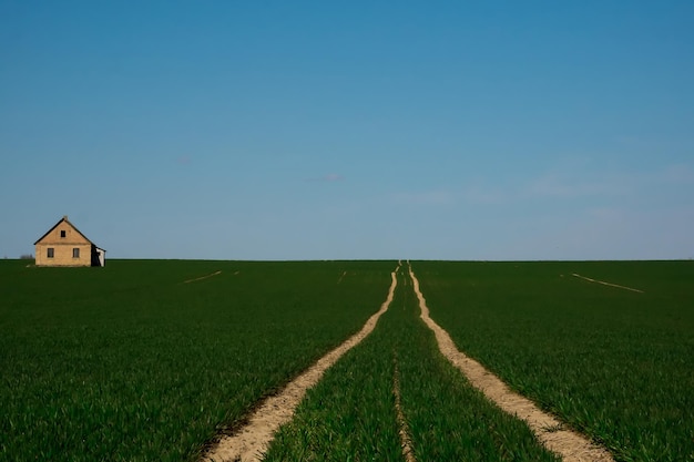 The road to a lonely house in the middle of a green field