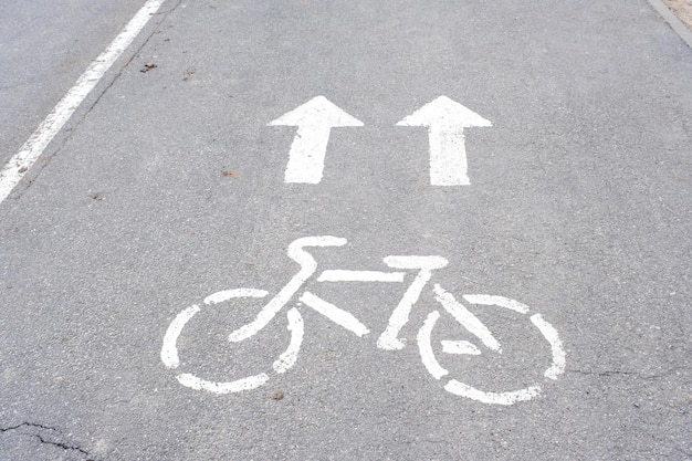 Road markings of a bicycle path in a park on a riding lane A sidewalk for pedestrians and a lane for cyclists Rules of road safety active recreation area