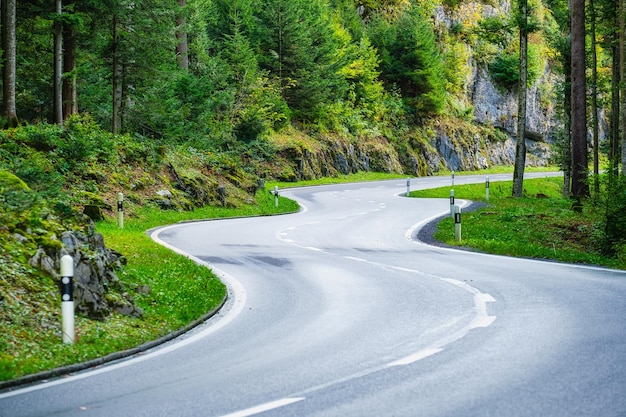 A road in the middle of a summer forest The road and the turns Travelling by transport An asphalt road among the trees