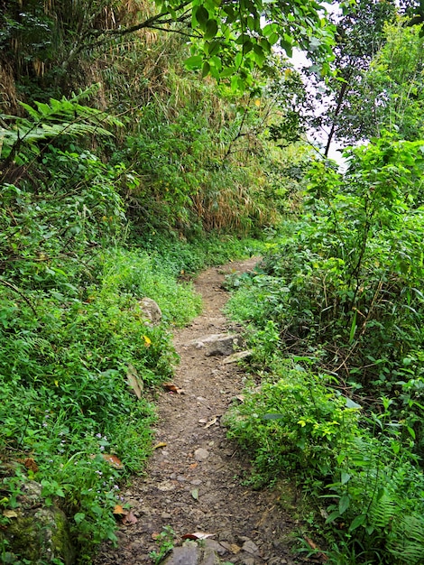 The road on mountains in Banaue of Philippines