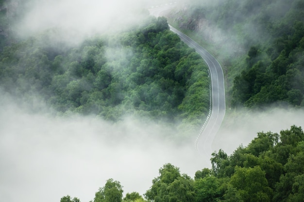 Road in the mountains in foggy morning Green summer trees in the mountains at sunrise