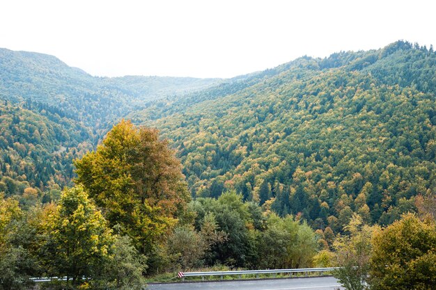 Road in the mountains