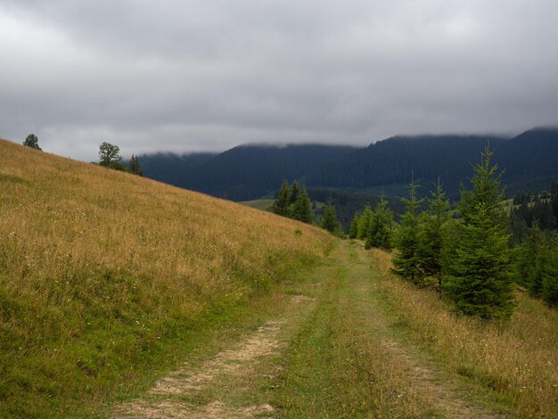 Road in the mountains