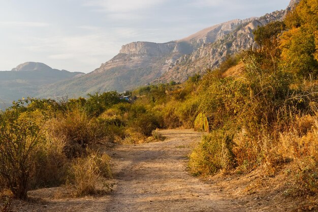 Road near Demerdzhi Crimea