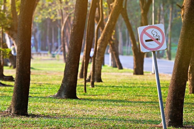 Photo road sign by trees on field