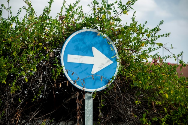 Road sign for mandatory right turn surrounded by green bush and leaves with their shadows