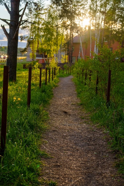 Photo the road in the sun