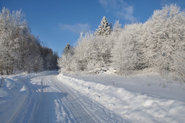 a road that goes off into the distance through a snowy white forest in winter