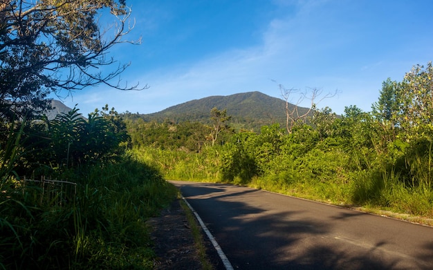 Road through the forest in Sumatra of Indonesia