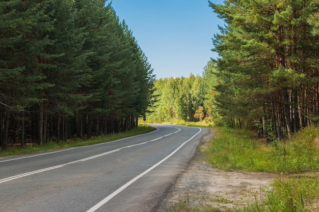 Road through green deep forest in Russia. Around green pines and blue sky, sunny day and autumn times