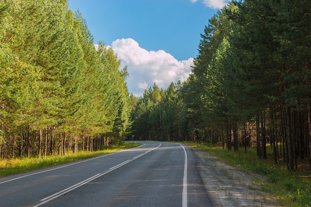 Road through green deep forest in Russia. Around green pines and blue sky, sunny day and autumn times