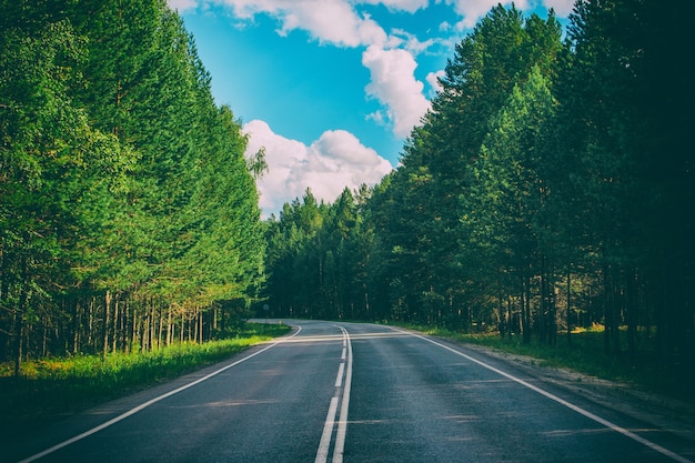 Road through green deep forest in Russia. Around green pines and blue sky, sunny day and autumn times