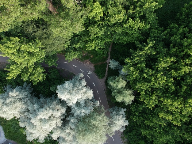 Photo road through the green forest, aerial view