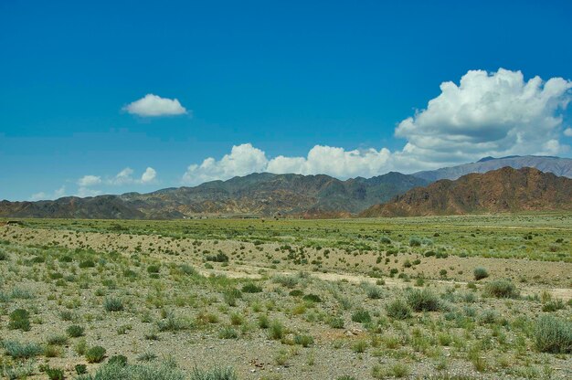 The road towards the city of Naryn in western Kyrgyzstan