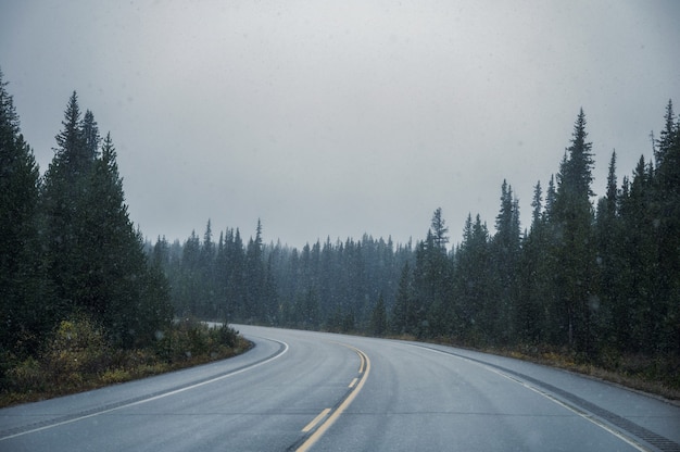 Road trip on highway with blizzard in coniferous forest at Banff national park on gloomy