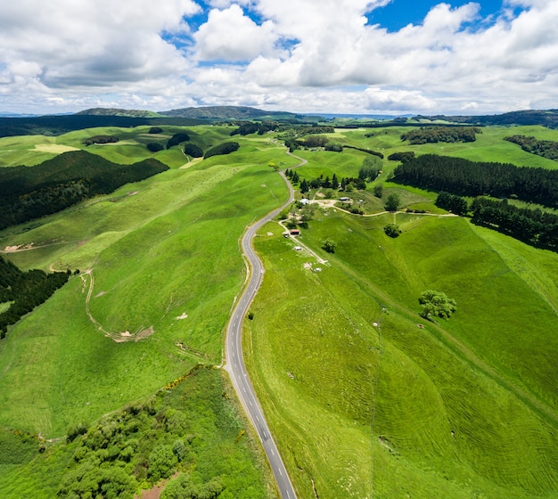 Road trip on the hill with green grass and sheep farm meadow in Rotorua, New Zealand.