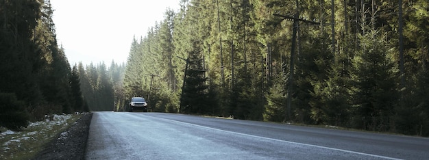 Road in Ukrainian Carpathian mountains in sunny day