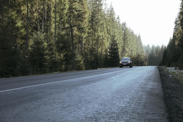 Road in Ukrainian Carpathian mountains in sunny day