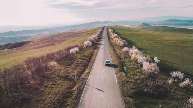 A road with a car on it and a field with trees in the background