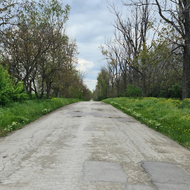 A road with a few patches of grass and a few trees on it