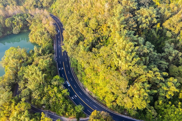 Road with forest in Sun Moon Lake