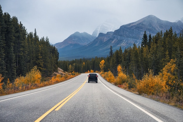 Road with Rocky mountain and car in autumn forest at Banff national park