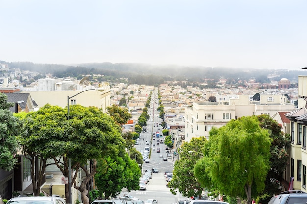 Road with trees and buildings at San Francisco