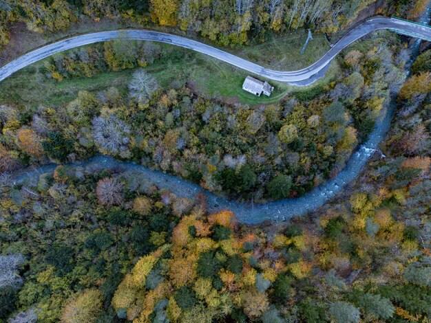 Photo a road with a truck on it and a road in the middle of the woods