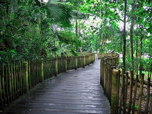 The road in Zoo Singapore