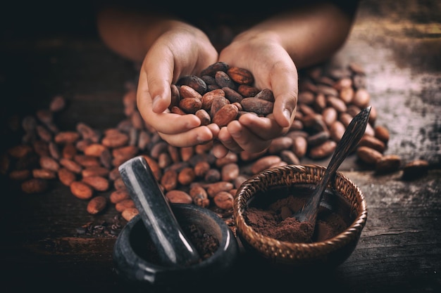 Roasted cocoa beans