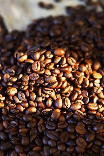 Roasted coffee beans Arabica and rubusta