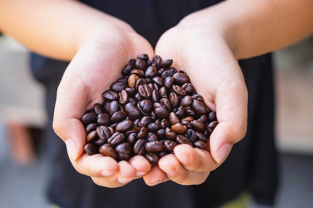 Roasted coffee beans in hand