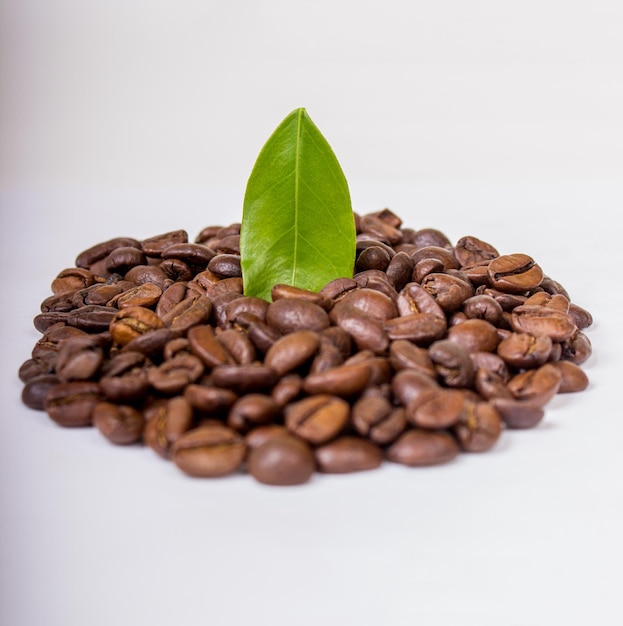 Roasted coffee beans and leaves isolated on a white background