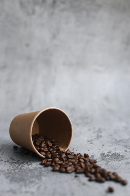 Roasted coffee beans spill out from paper cup isolated on gray background with copy paste. 