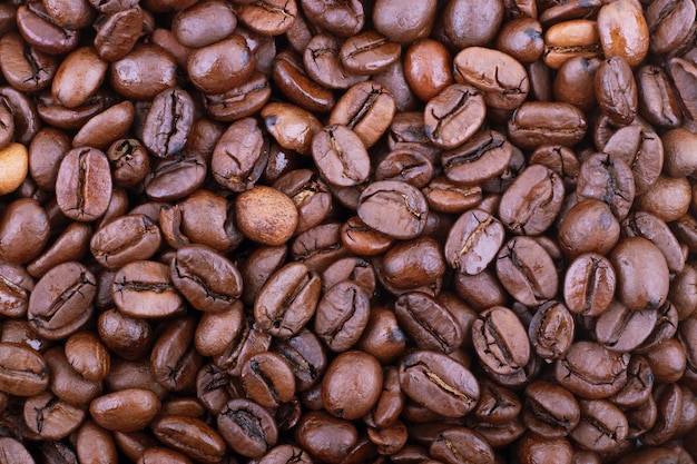 Roasted coffee beans on white